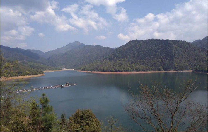 踏青燒烤樂(lè)享初夏